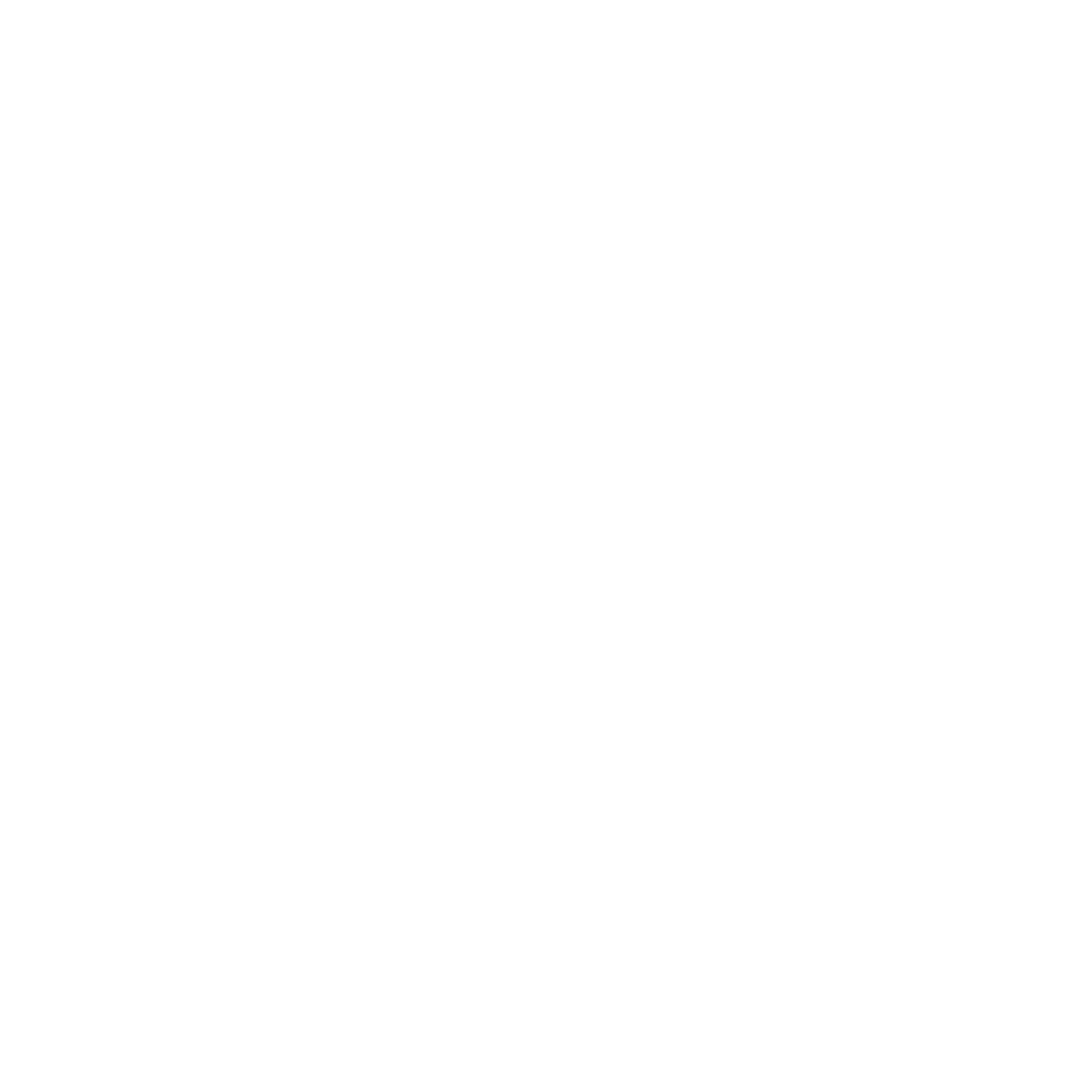 Shane Collective 2024 Badge